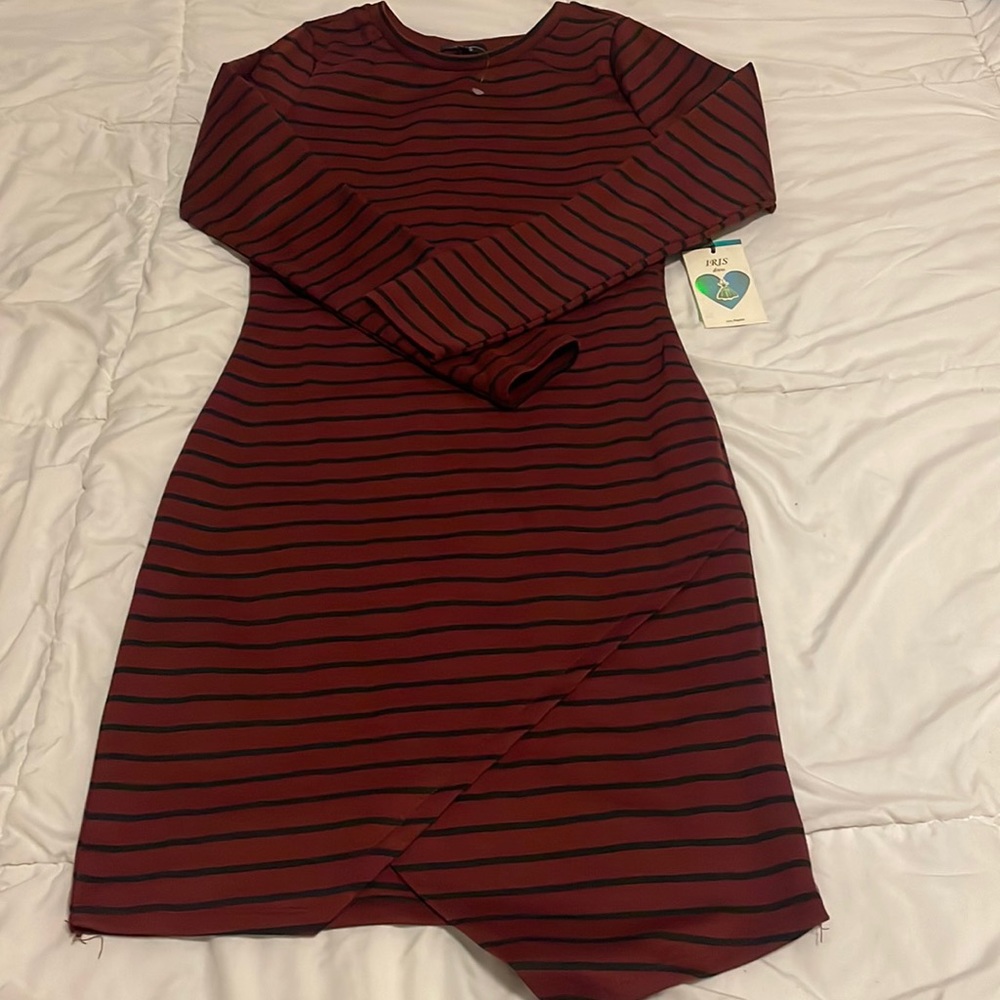 NWT Iris Long Sleeve Dress